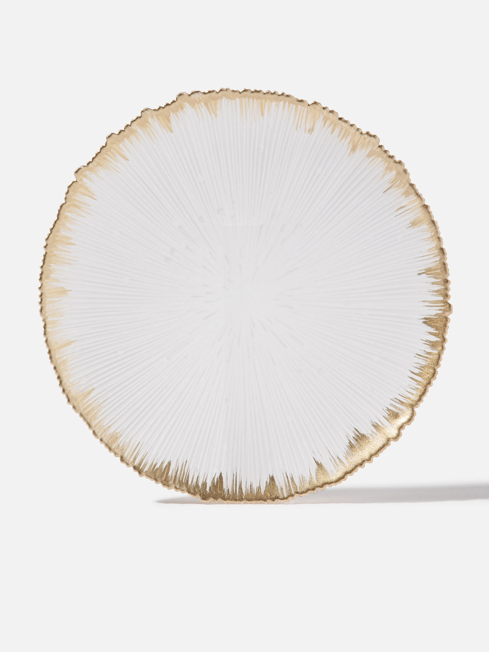 צלחת עיקרית Spirit