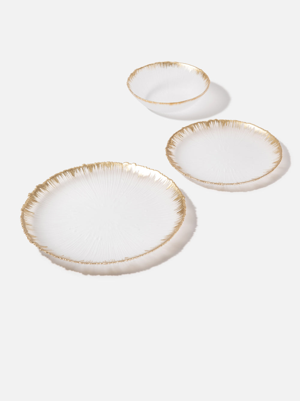 צלחת עיקרית Spirit