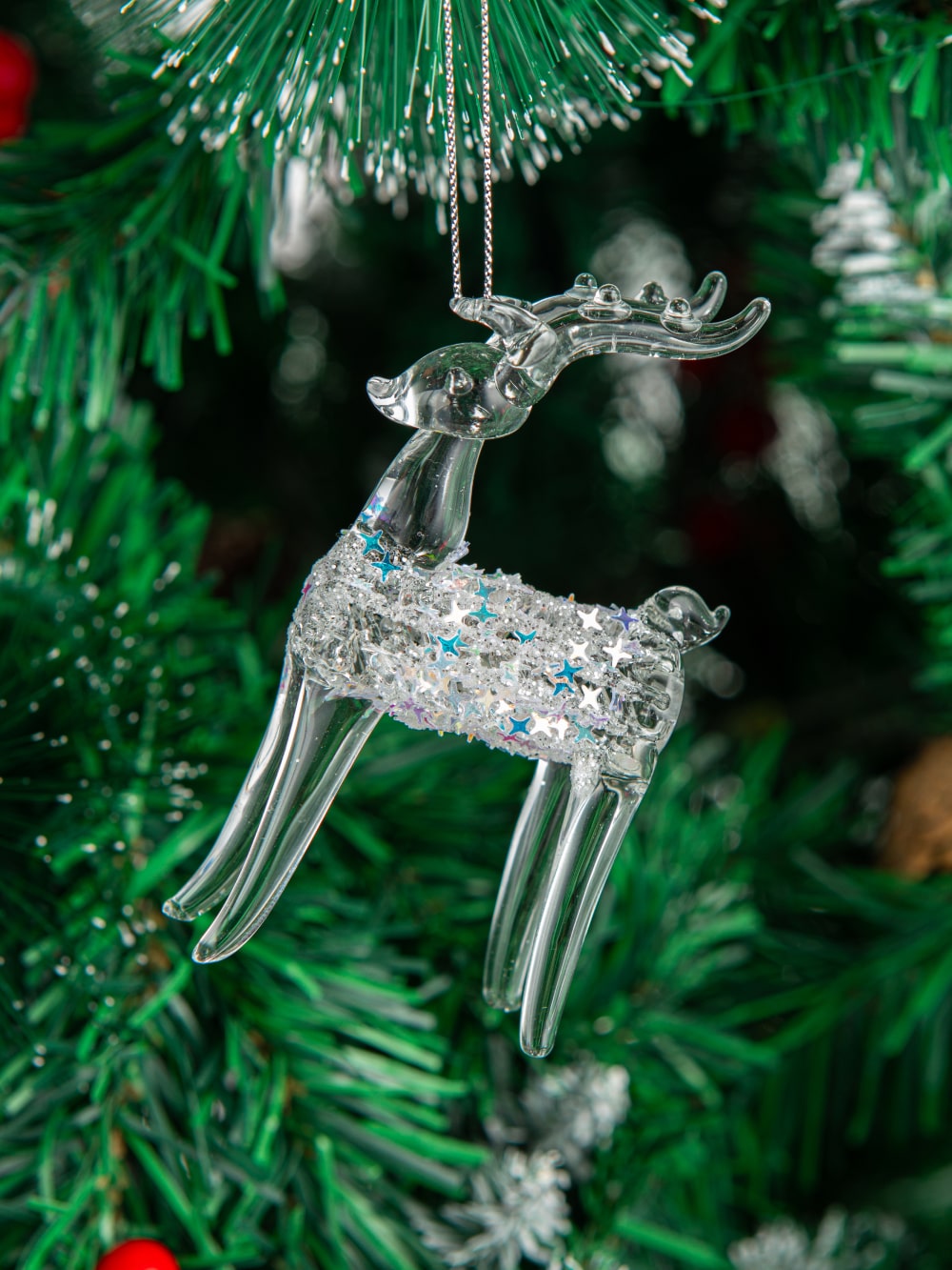 קישוט אייל שקוף