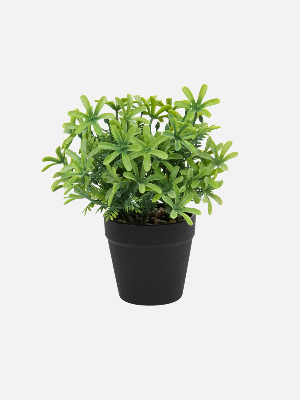 עציץ נוי פלסטיק ירוק Tommy