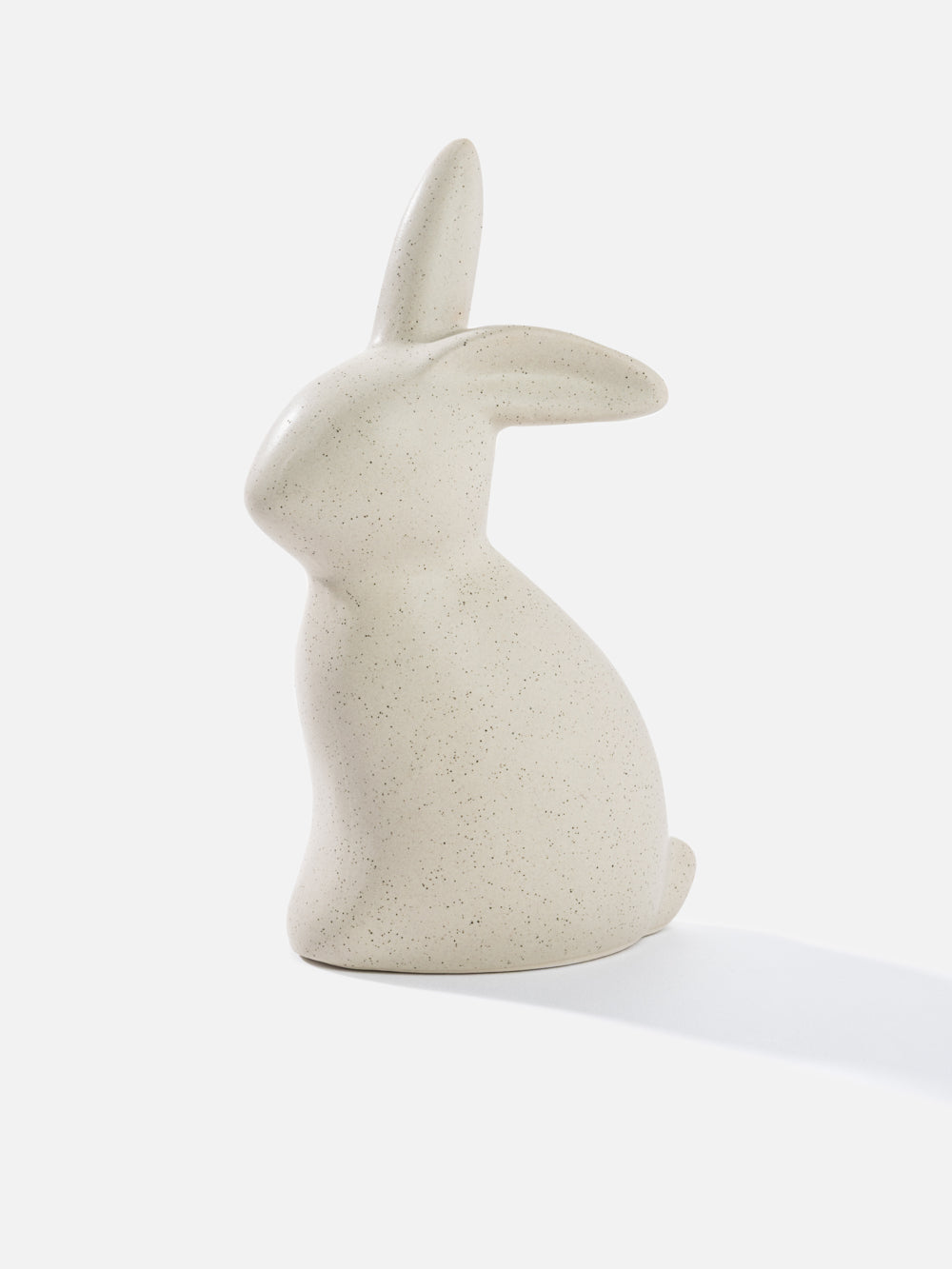ארנב Rabbit
