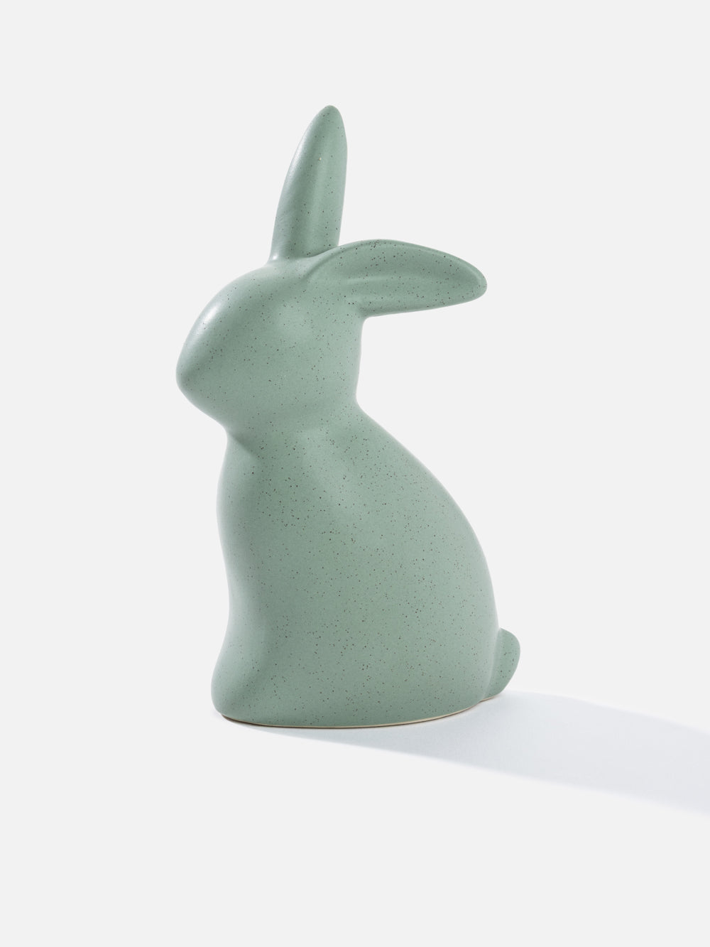 ארנב Rabbit