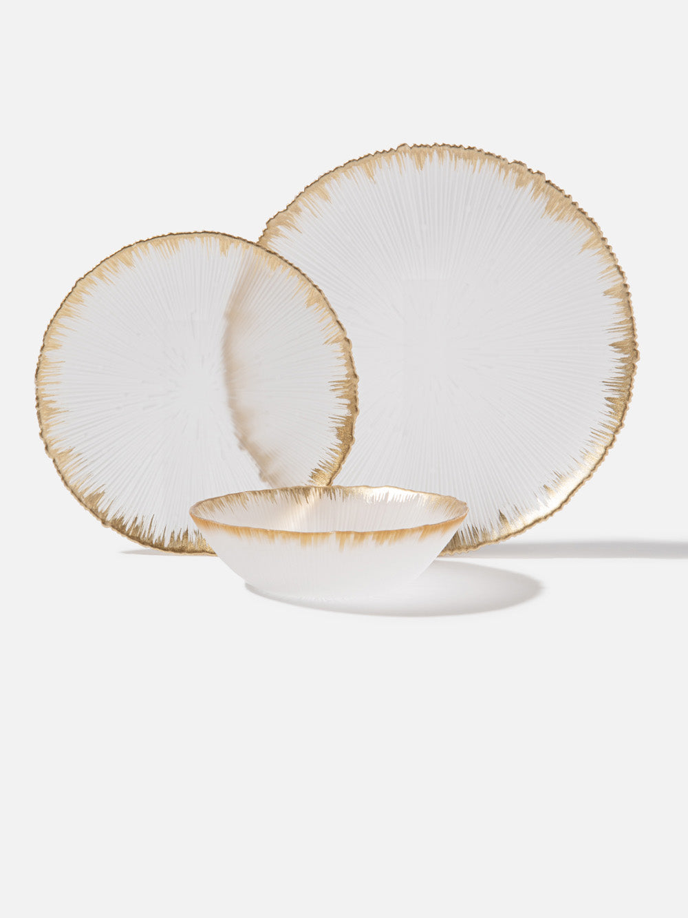 צלחת עיקרית Spirit