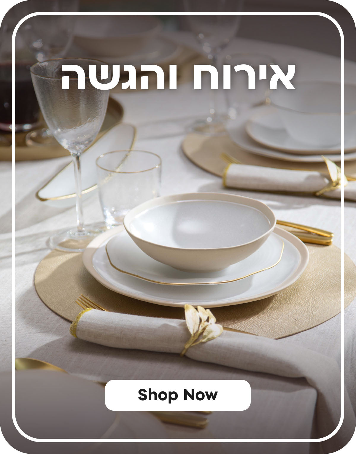 אירוח והגשה shop now