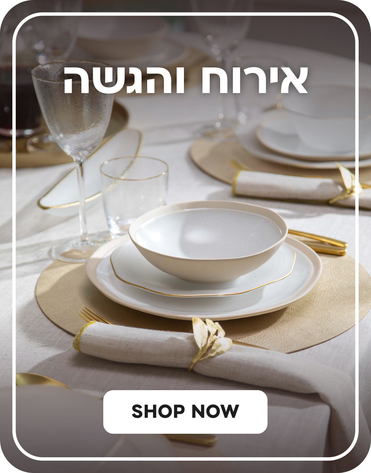 אירוח והגשה SHOP NOW